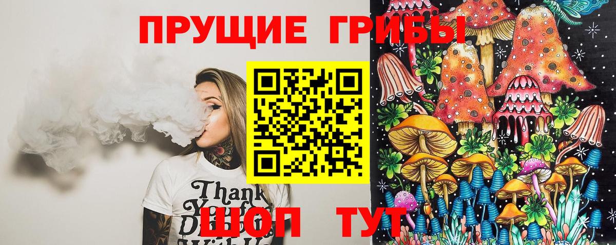 сколько стоит  Вход с VPN  Прохладный  Галлюциногенные грибы GOLDEN TEACHER 